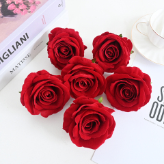 bight red