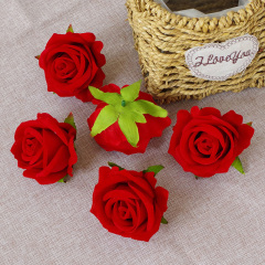 bight red