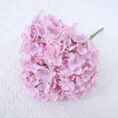 dream purple