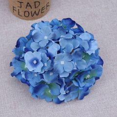 dream blue