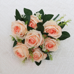 champagne pink