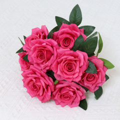 light fuchsia