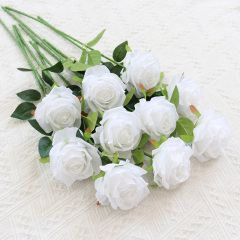 pure white