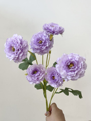 lilac