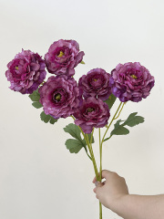 magenta