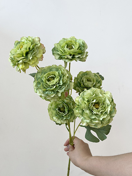 2026 New arrival- Jadflower 6heads peony