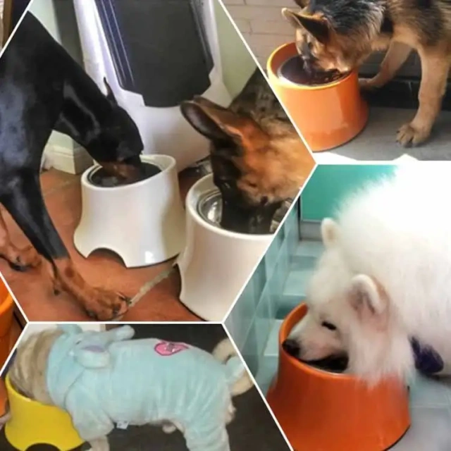 Most Popular Pet Products Stainless Dog Bowl Customize Dog High Food Bowl for Dogs Melamine Ceramics Pet Bowls & Feeders Manual