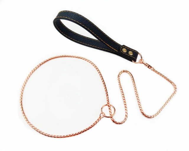 Snake Dog  Collar and Leather Chain Stainless Steel Dog Leash with Leather Handle