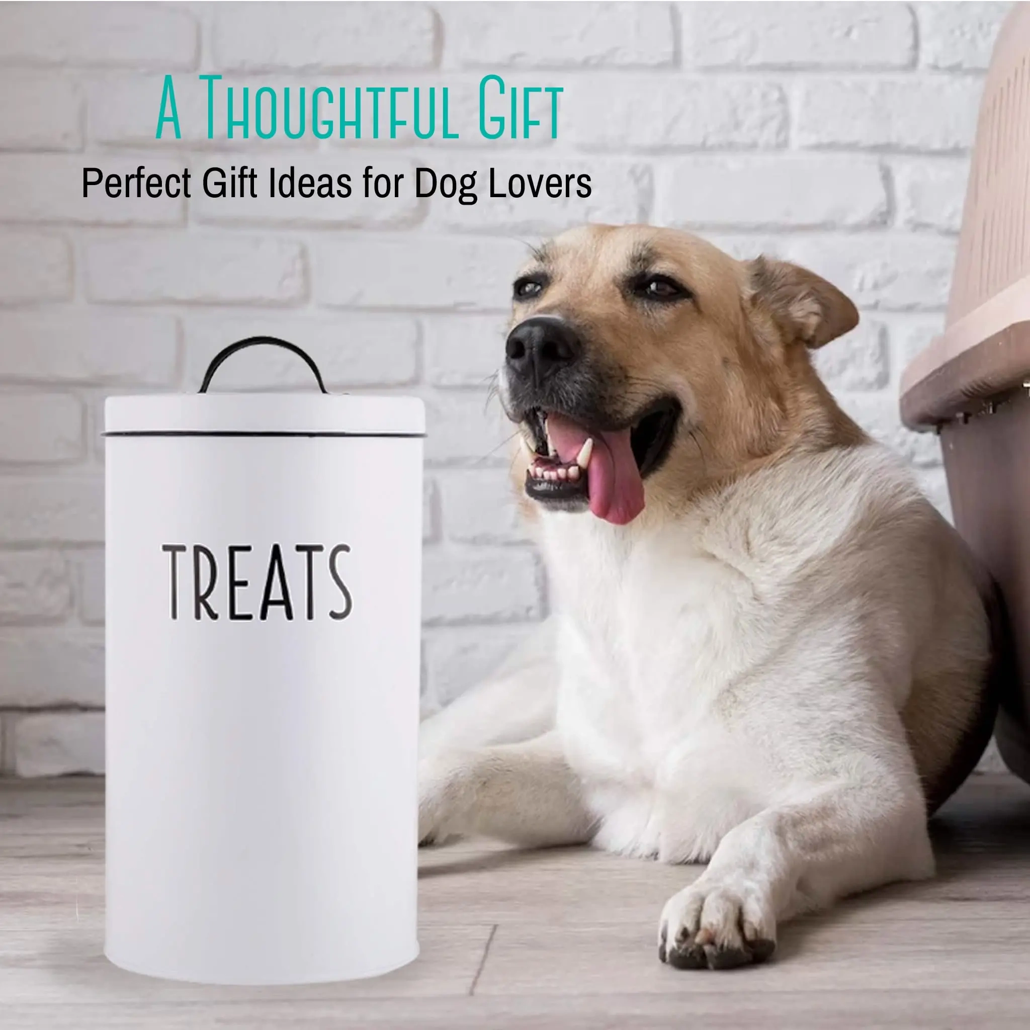 Wholesale Metal Storage Box Food Grade Countertop Farmhouse Pet Food Bin Large Pet Food Storage Container with Fitted Lid