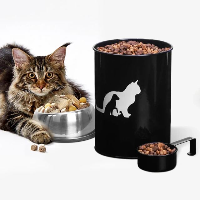 Set of 3  Airtight Kitchen Food Storage Container  Pet Treat Canister  Set with Plastic Lids