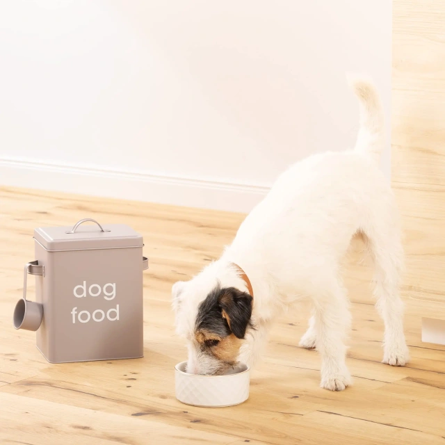 家用金属食品储存容器钢制宠物食品储存罐（适用于狗）