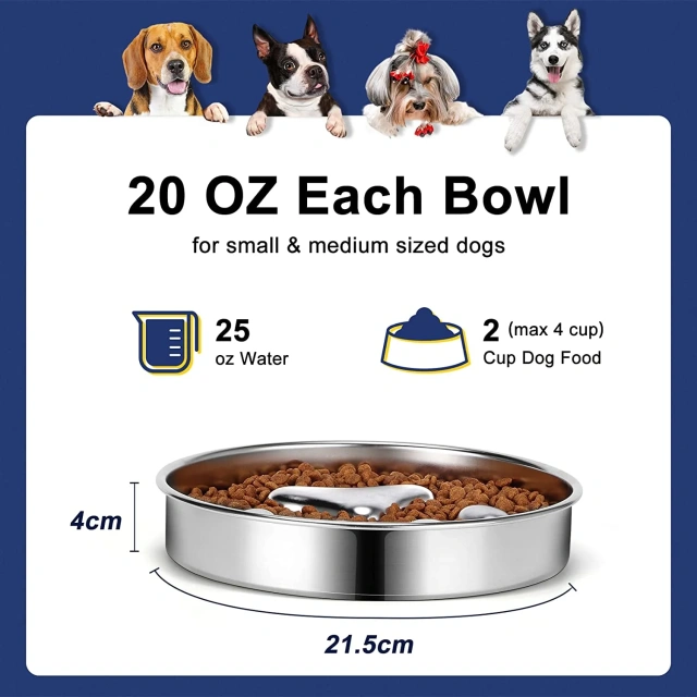Factory Wholesale Slow Feeder Pet Dog Bowls 304 Stainless Steel Metal 2 Cups for Dogs Package Custom Accepted Pet Feeding Food