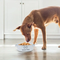 Factory Wholesale Powder Coating Dog Bowl Pet Bowl Hot Metal Dog Bowl