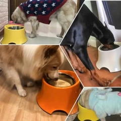 Most Popular Pet Products Stainless Dog Bowl Customize Dog High Food Bowl for Dogs Melamine Ceramics Pet Bowls & Feeders Manual