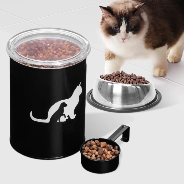 Set of 3  Airtight Kitchen Food Storage Container  Pet Treat Canister  Set with Plastic Lids