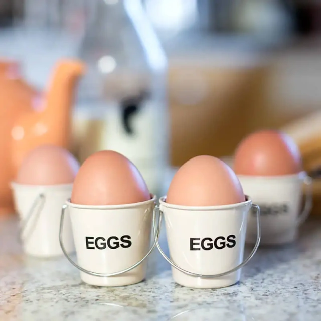 Colorful Bucket Egg Cups Galvanized Iron Gift Bucket