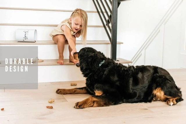 Pet Treat Container Dog Treat Canister White Dog and Cat Treat Container with Easy to Open Bamboo Lid