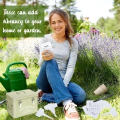 Seed Storage Organizer Metal Seed Saving Box with Lid, 3 Compartments Box with Safety Locks