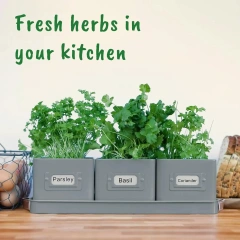 Decorative Herb Pots for Kitchen Windowsill Set of 3 Herb Planter Indoor With Tray Garden Herb Planter