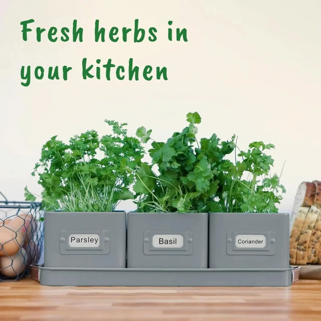 Decorative Herb Pots for Kitchen Windowsill Set of 3 Herb Planter Indoor With Tray Garden Herb Planter