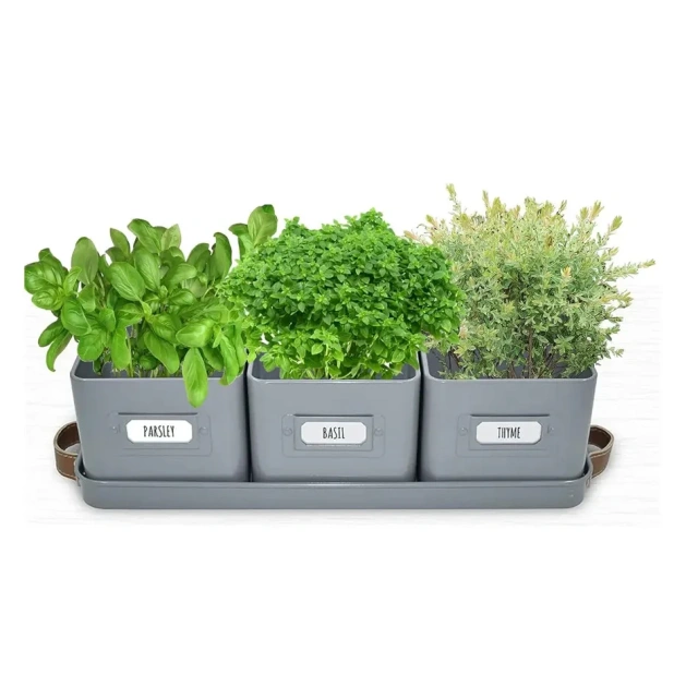 Decorative Herb Pots for Kitchen Windowsill Set of 3 Herb Planter Indoor With Tray Garden Herb Planter