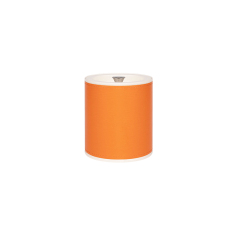 爱马仕橙收纳罐（小号）