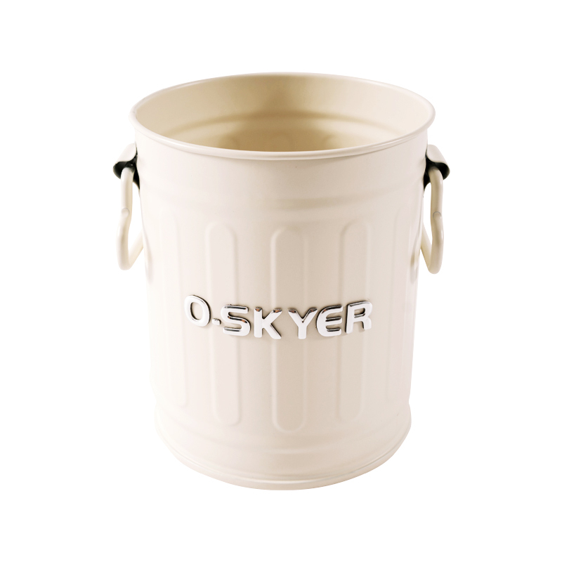 Metal Small Bucket for Sundries – Versatile Organizer