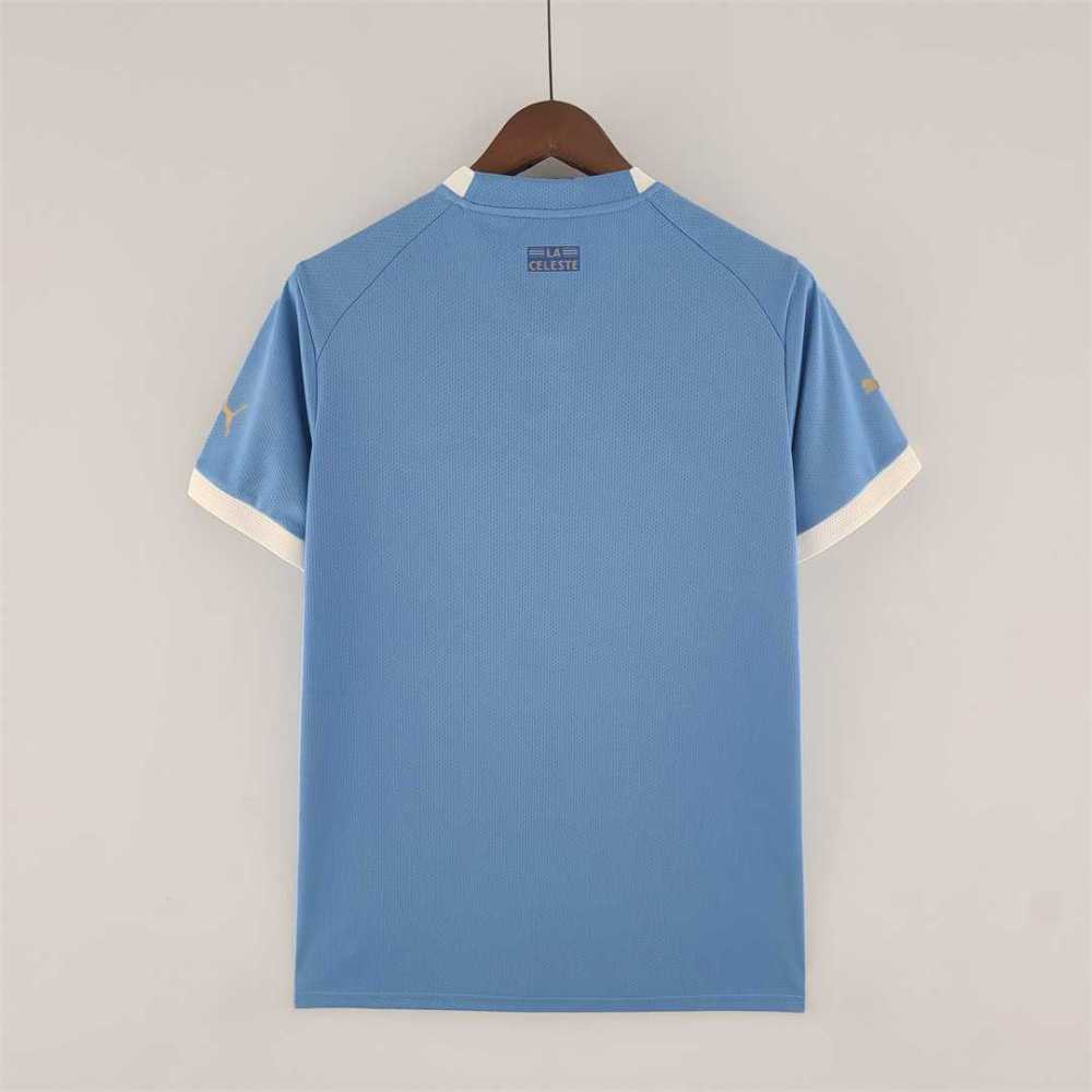 2022 Uruguay World Cup Home Fan Edition