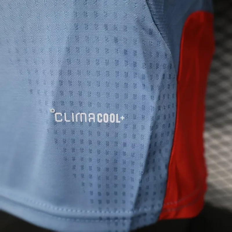 2026 Japan World Cup Special Soccer Jersey Player Edition