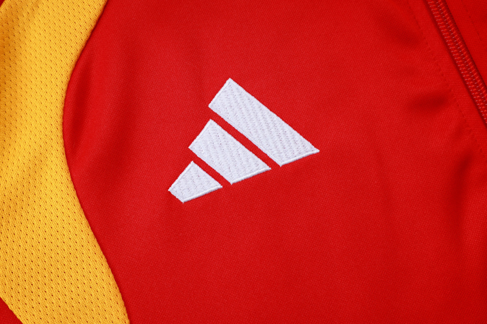 2026/27 Germany Training Jacket Set