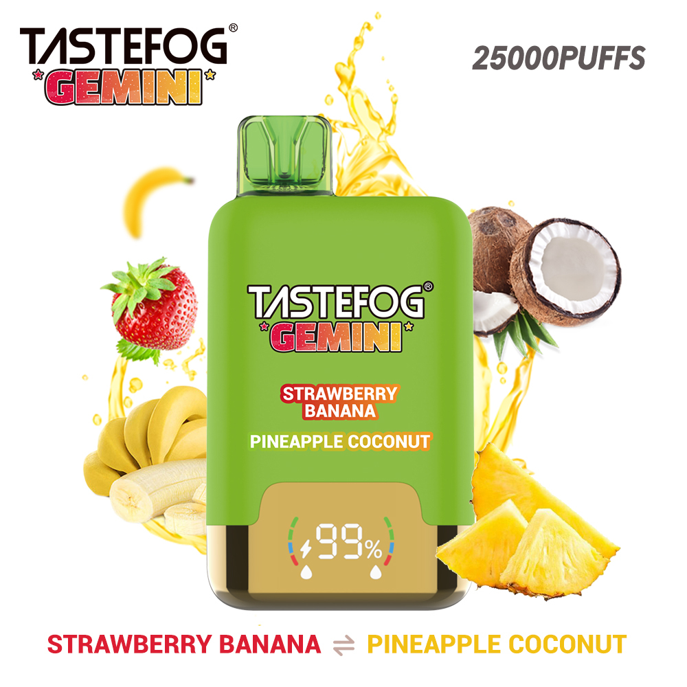 Tastefog GEMINI 25000 Puffs