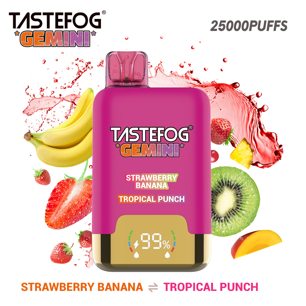Tastefog GEMINI 25000 Puffs