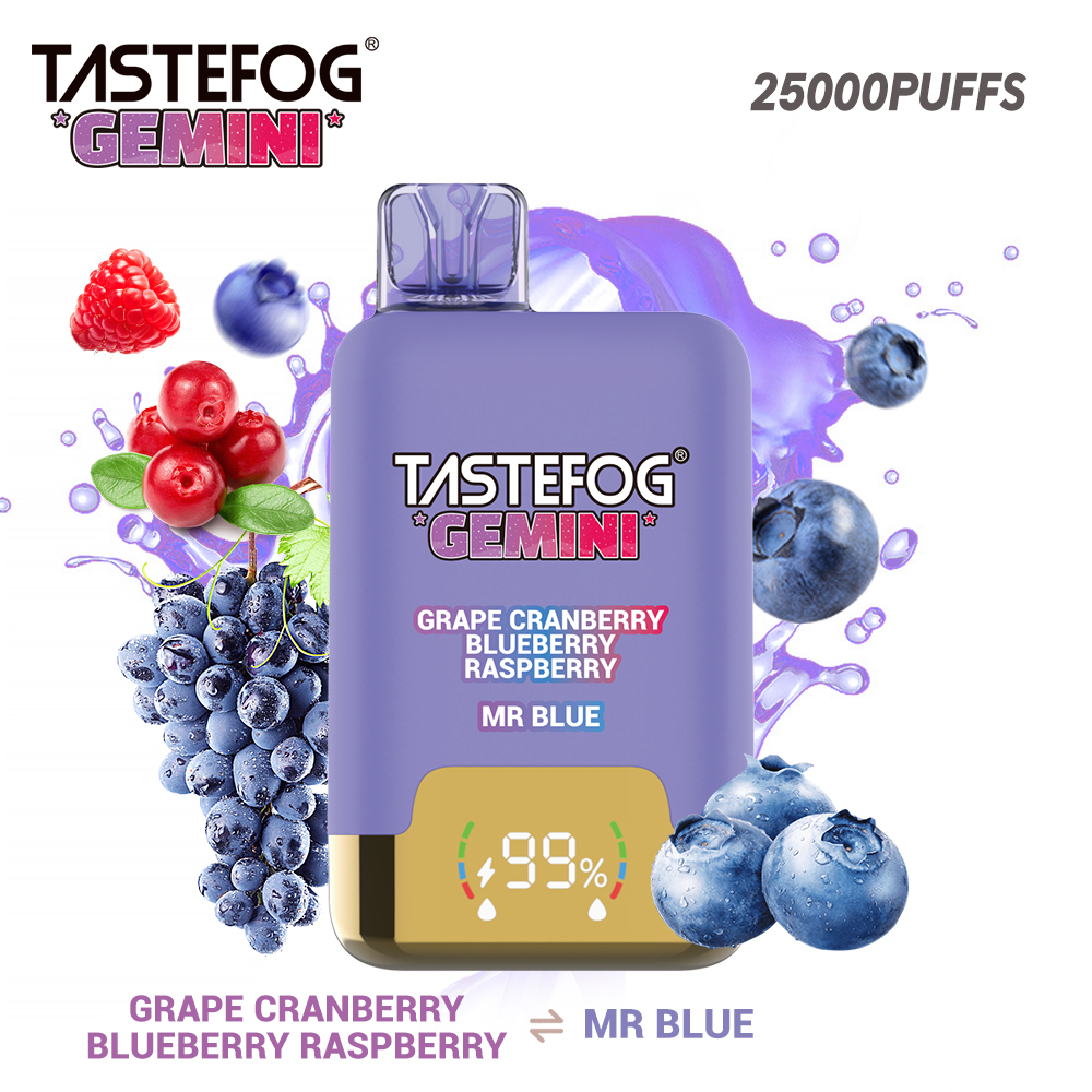 Tastefog GEMINI 25000 Puffs