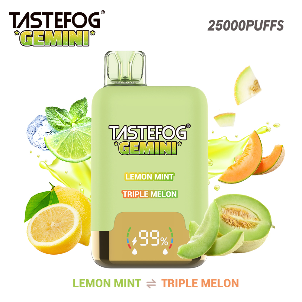 Tastefog GEMINI 25000 Puffs
