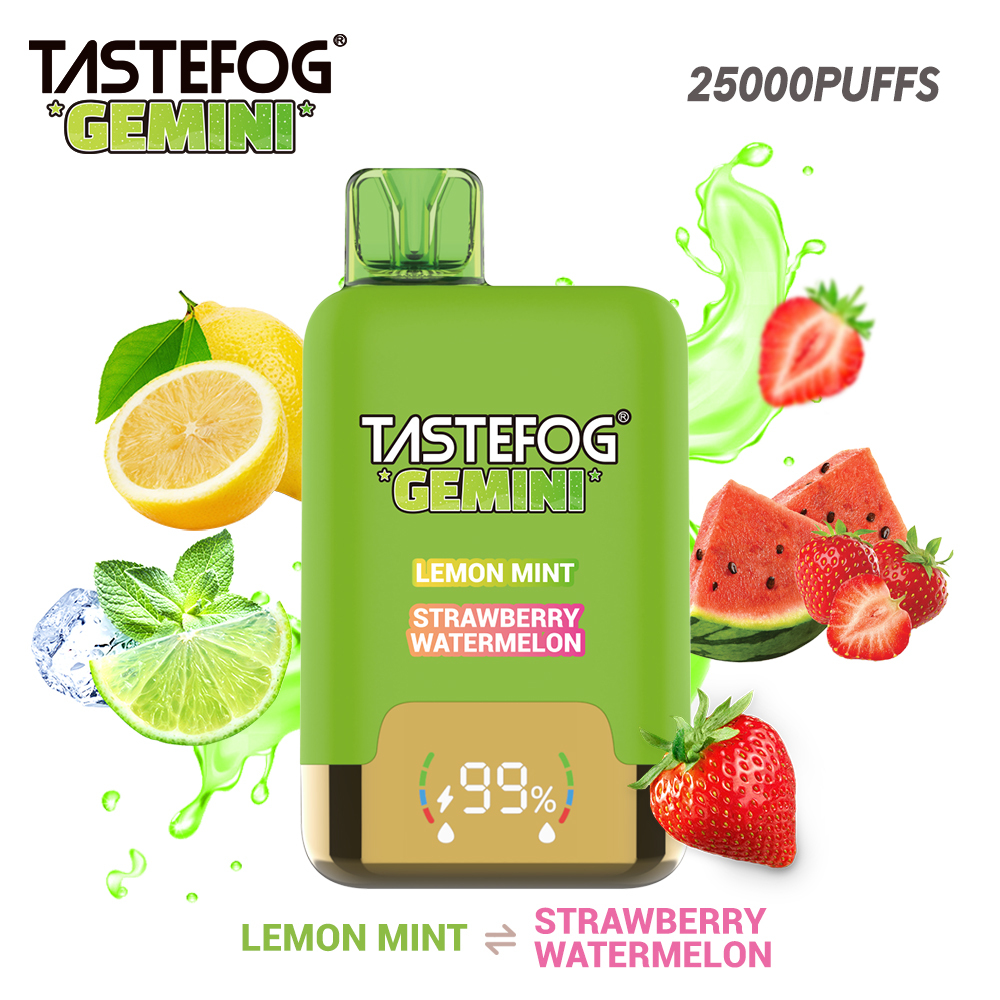 Tastefog GEMINI 25000 Puffs