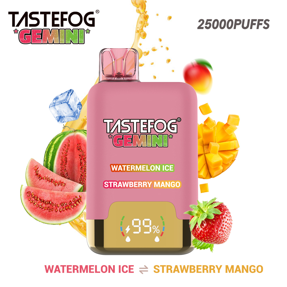 Tastefog GEMINI 25000 Puffs