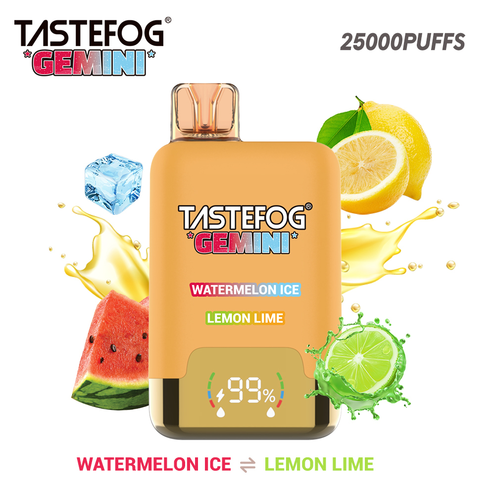 Tastefog GEMINI 25000 Puffs