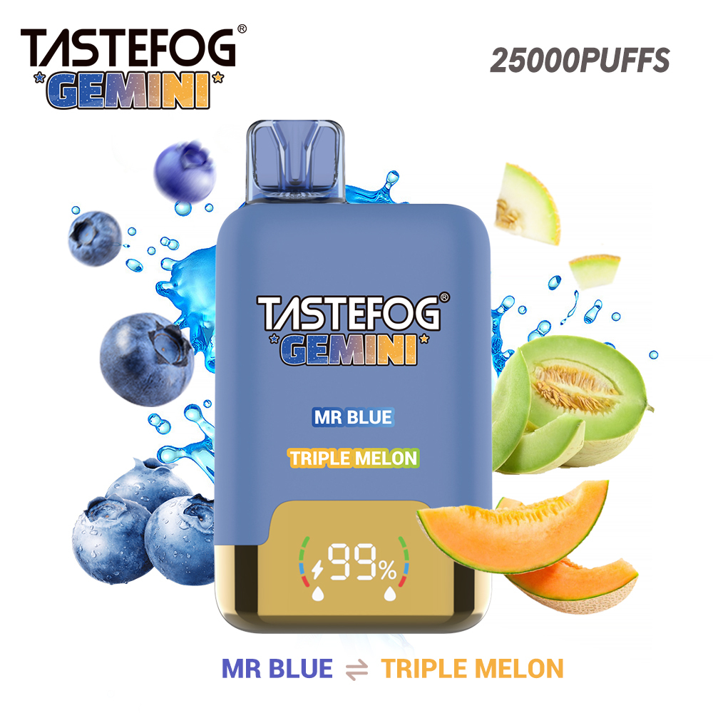 Tastefog GEMINI 25000 Puffs