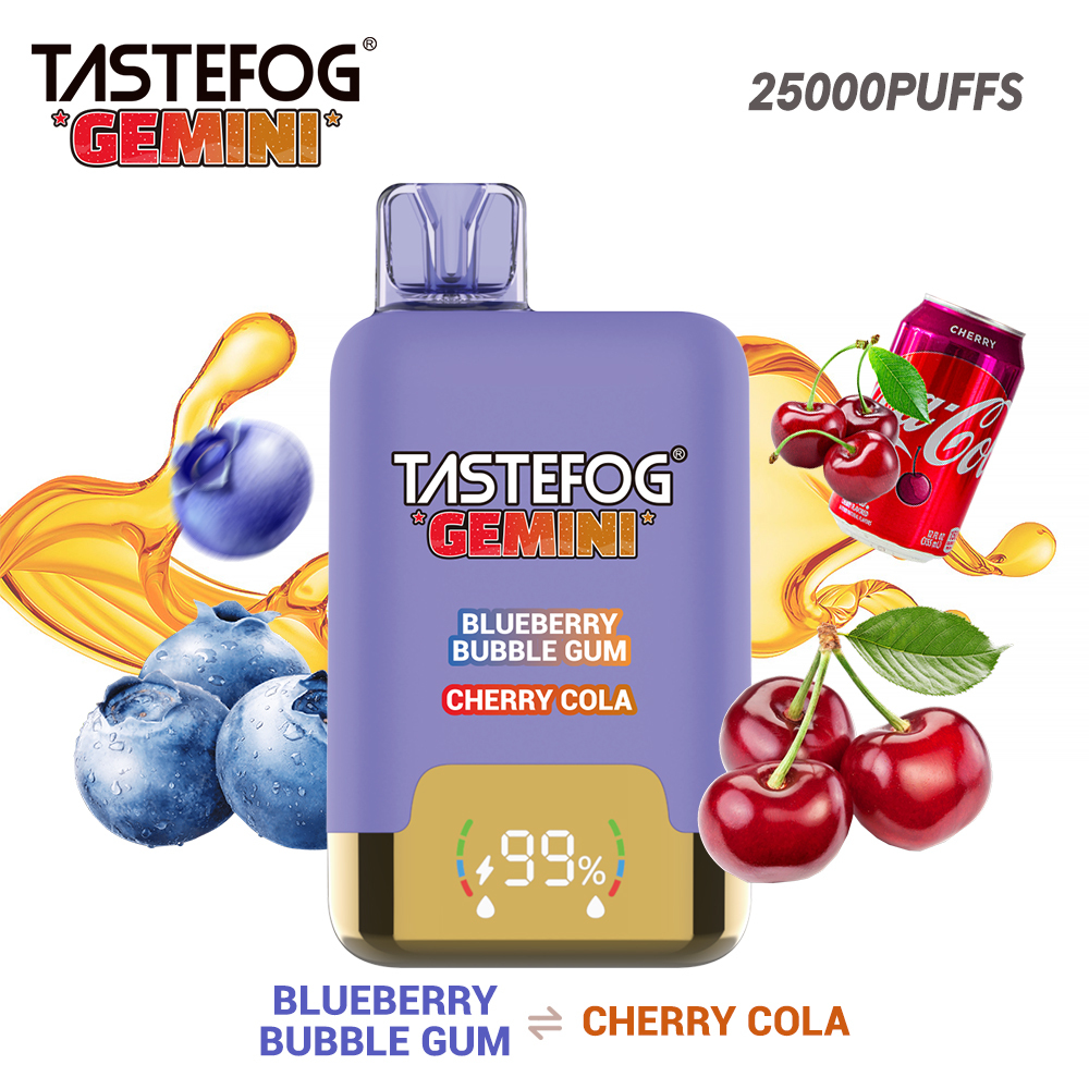 Tastefog GEMINI 25000 Puffs