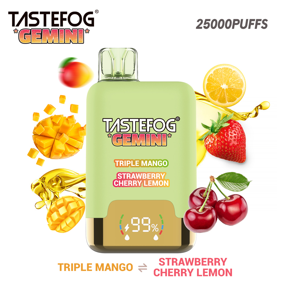 Tastefog GEMINI 25000 Puffs