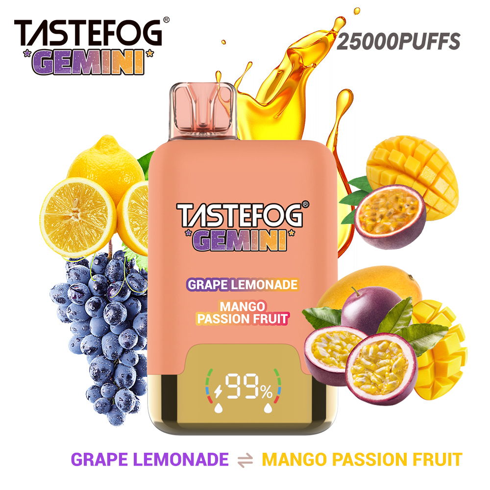 Tastefog GEMINI 25000 Puffs