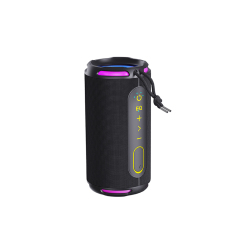 RT530 IPX6 Waterproof Bluetooth Speaker with TYPE-C charging 40W