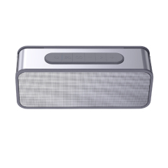 RT550 IPX4 Waterproof Bluetooth Speaker with TYPE-C charging 50W