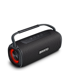 RN320 IPX6 Waterproof Bluetooth Speaker with TYPE-C charging 20W