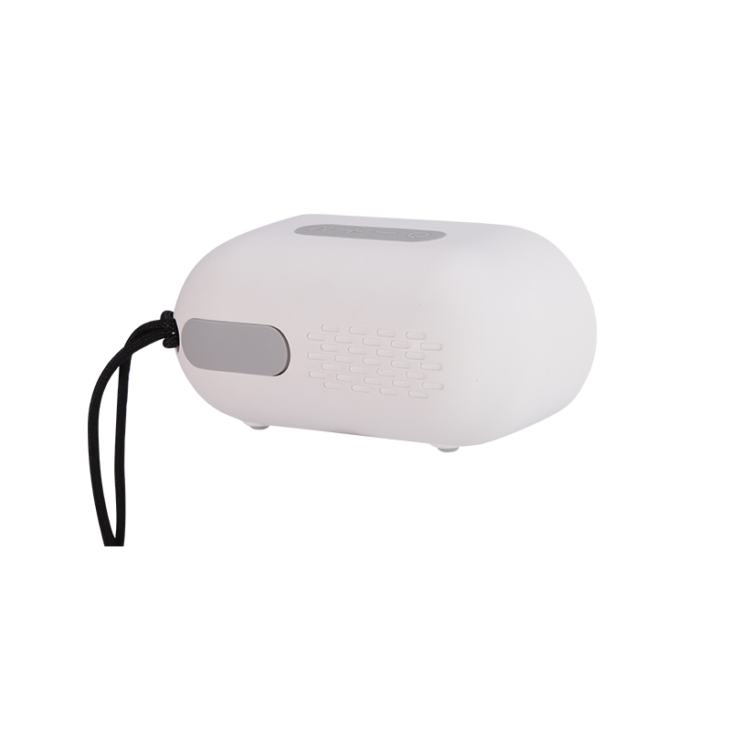 IPX5 Waterproof 5W USB Speaker Portable Wireless Speaker Outdoor Sport Handle Speakers Music Player for Home Party  FM0209