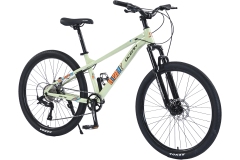 HY-MS210