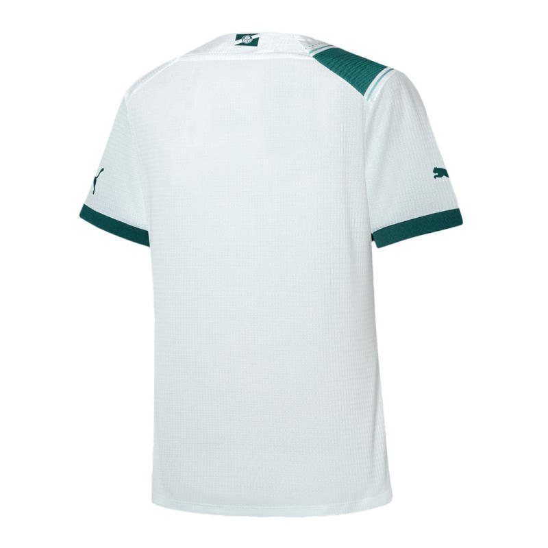 SE Palmeiras Women's Away Jersey Replica 2023/24