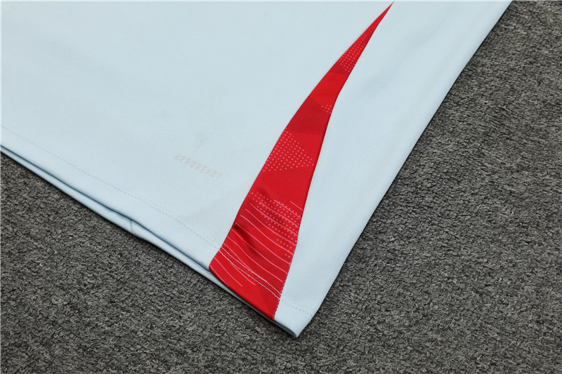 2024/2025 Spain Half-Pull Training Wear Light Blue Football Shirt
