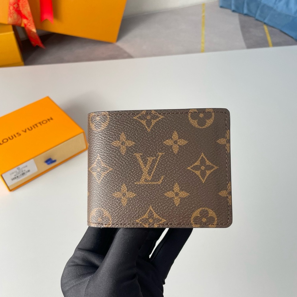 LOUIS VUITTON Multiple M60895