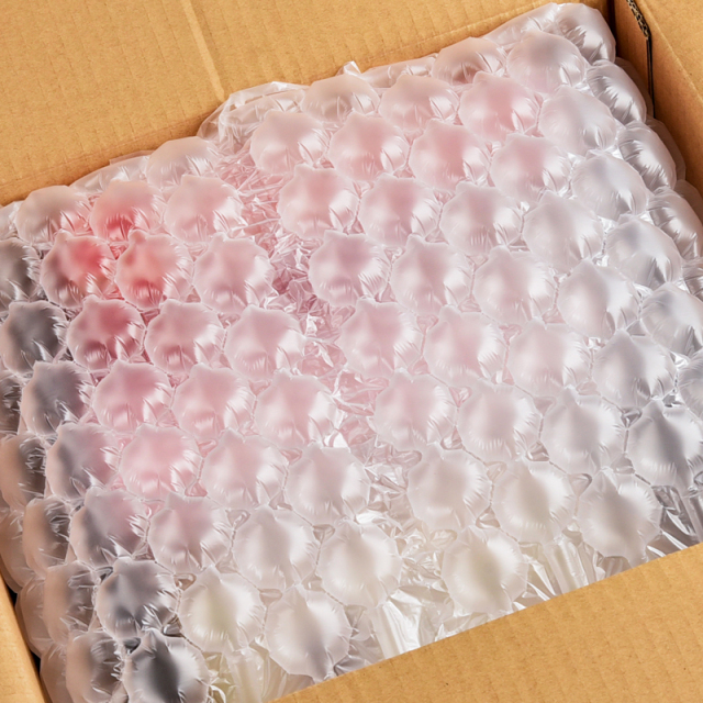 Air Cushion Bubble Film
